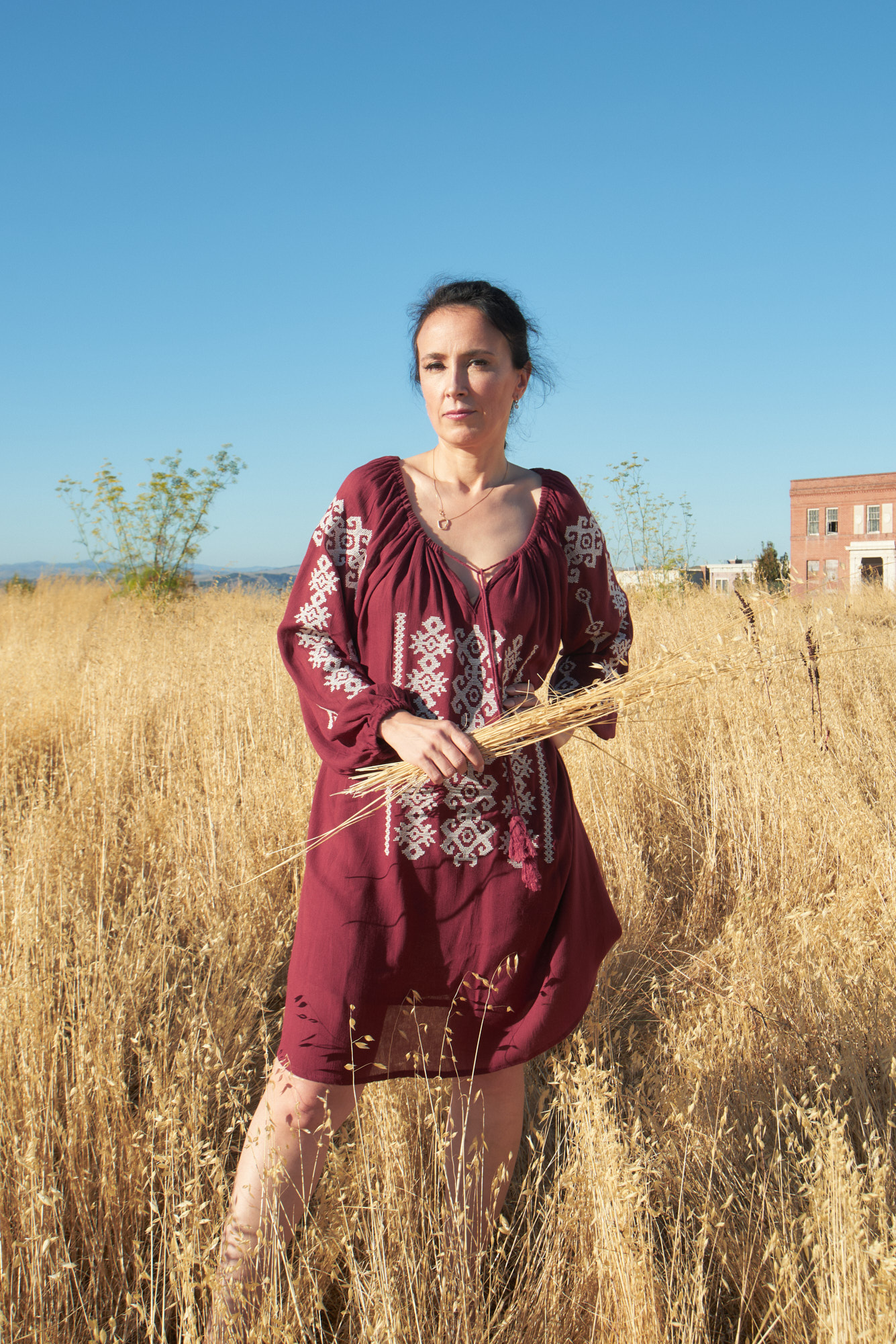 Anastasia in a Golden Field